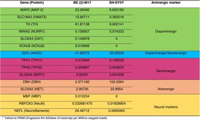 The BE (2)-M17 neuroblastoma cell line: revealing its potential as a cellular model for Parkinson’s disease